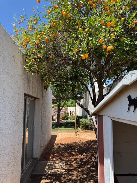 Building Photo - 2131 E Alameda Dr