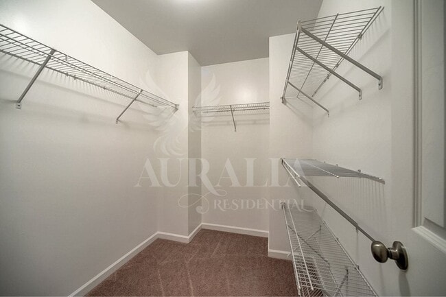 Building Photo - 3071 Settle In Ln