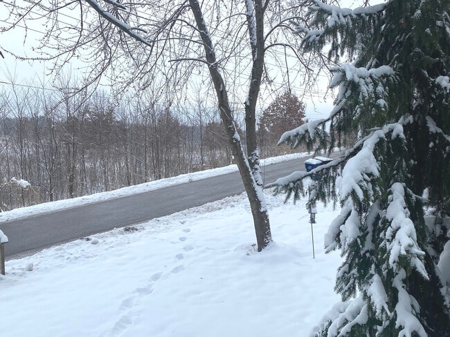 Building Photo - 423 Grand Blvd