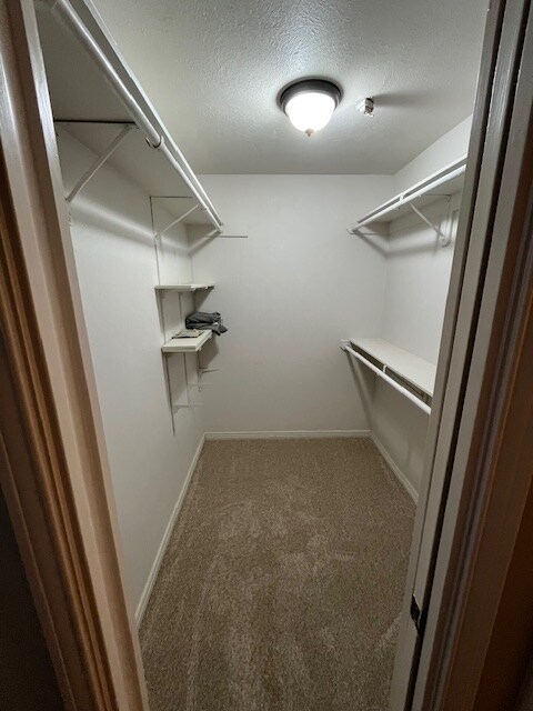 Building Photo - 4349 Bellaire Dr S