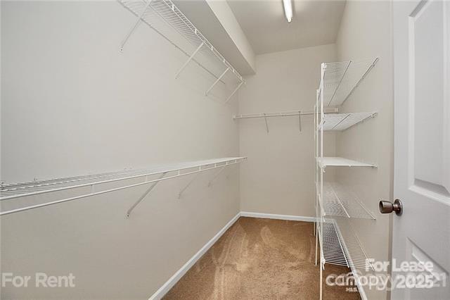 Building Photo - 14750 Via Sorrento Dr