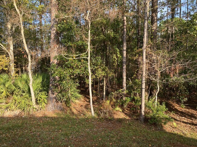 Building Photo - COMING SOON – 3 Bedroom, 2 Bathroom Single...