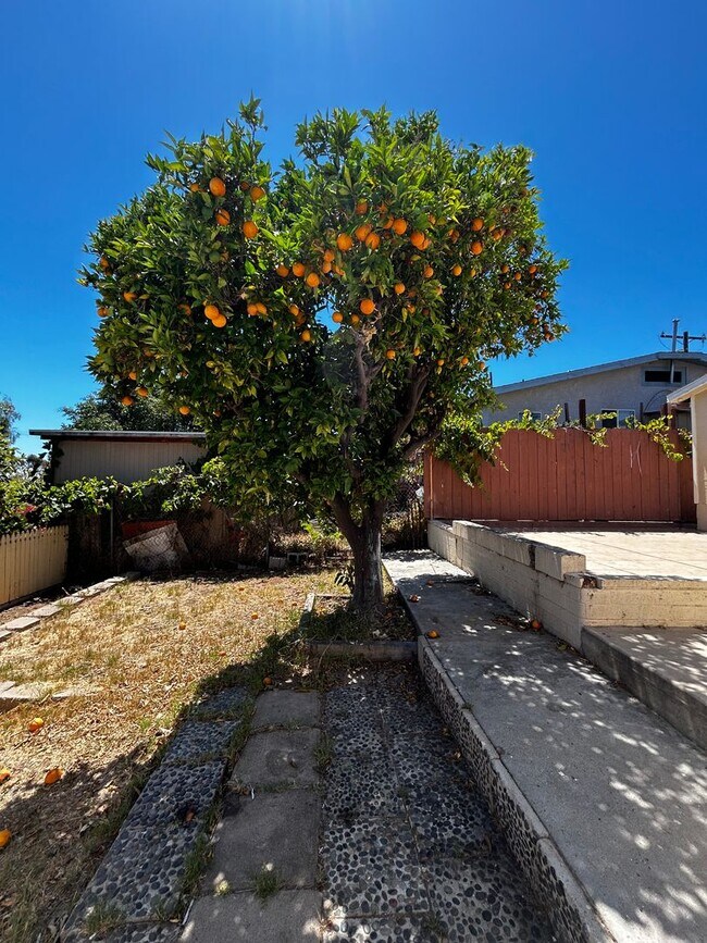 Building Photo - 2764 Wilma St