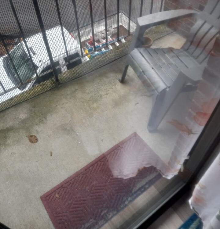 Building Photo - 566 Washington St