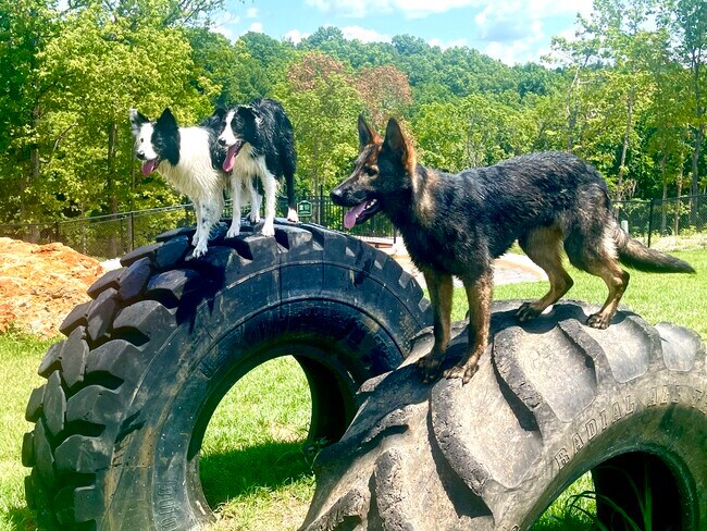 Building Photo - 119 Sierra Cir