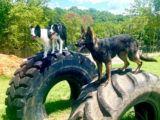 Building Photo - 147 Pinnacle Dr