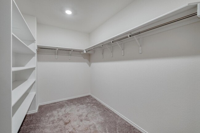 Building Photo - 508 Barbary Coast Ln