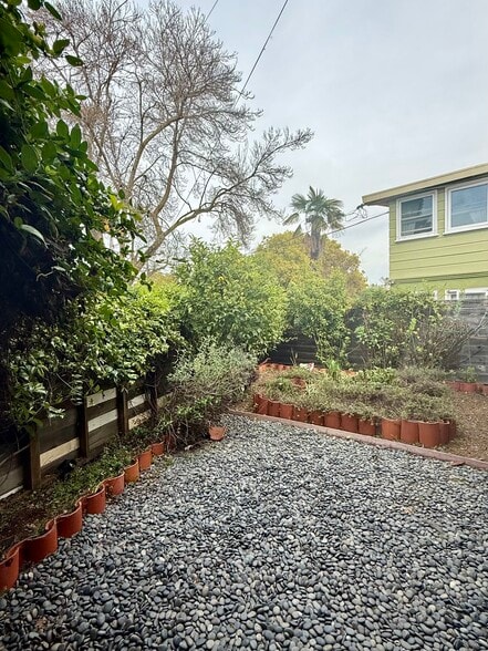 Front Yard - 1256 Hopkins St