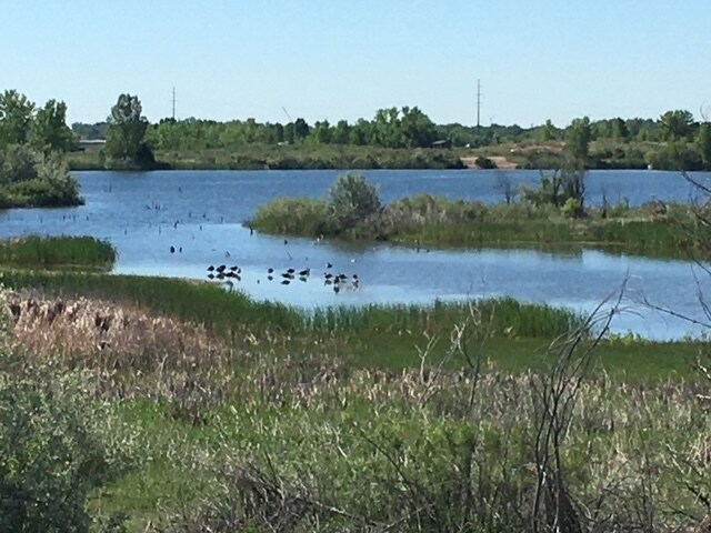 Building Photo - 2613 Cherly St