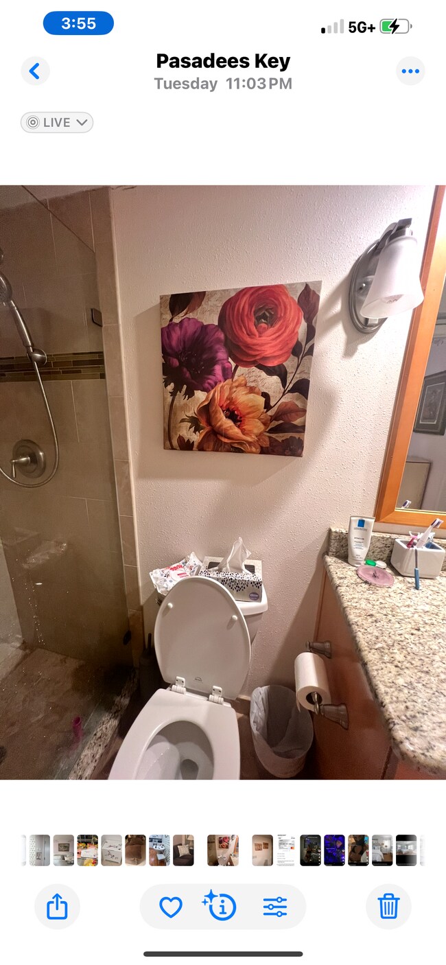 Building Photo - 255 Dolphin Point