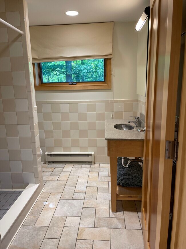 Bathroom 3 @ Family room - 13995 Centerline Rd