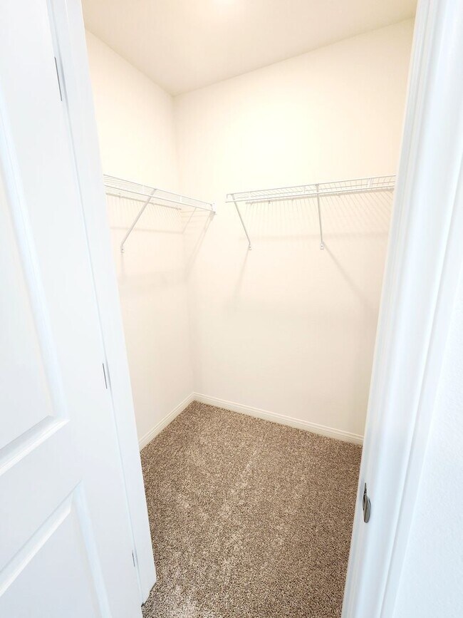 Building Photo - Modern Family Living on Tricase Street - 3...