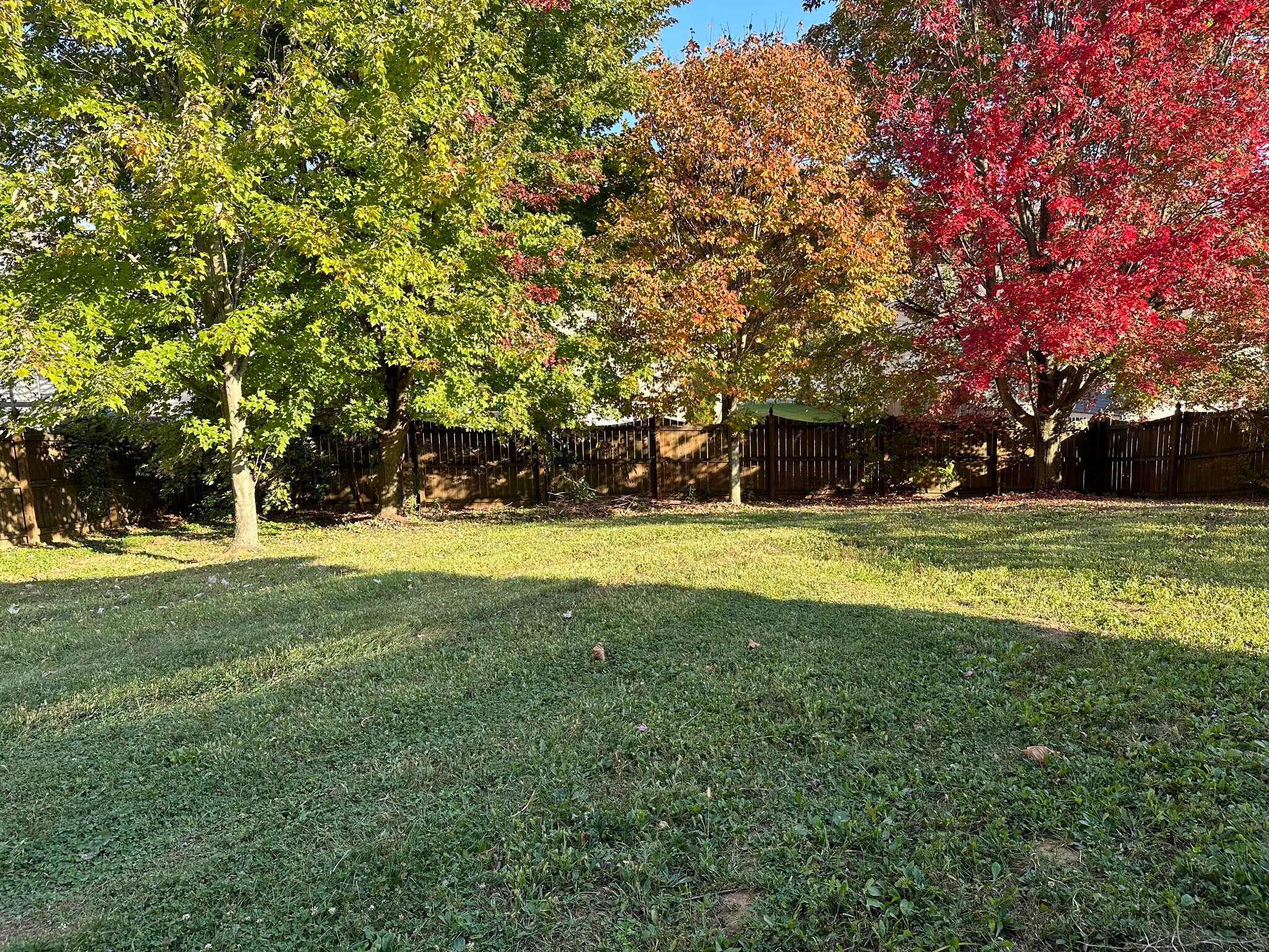 Building Photo - 3525 S Wickens St