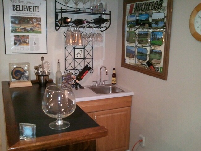 Basement Bar - 16939 Hickory Forest Ln