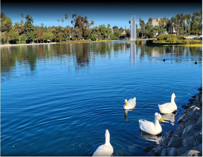 Echo Park Lake - 1803 Montana St