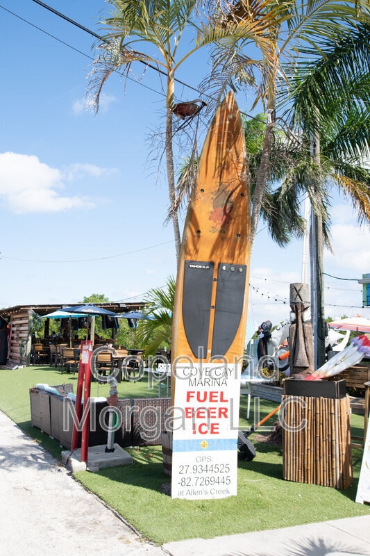 Building Photo - 1000 Cove Cay Dr