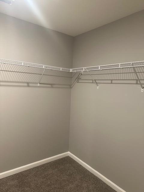 Building Photo - 212 Candy Apple Ln