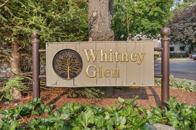 Primary Photo - 61 Whitney Glen Dr