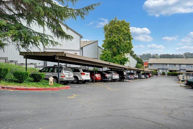 Building Photo - 3430 San Pablo Dam Rd