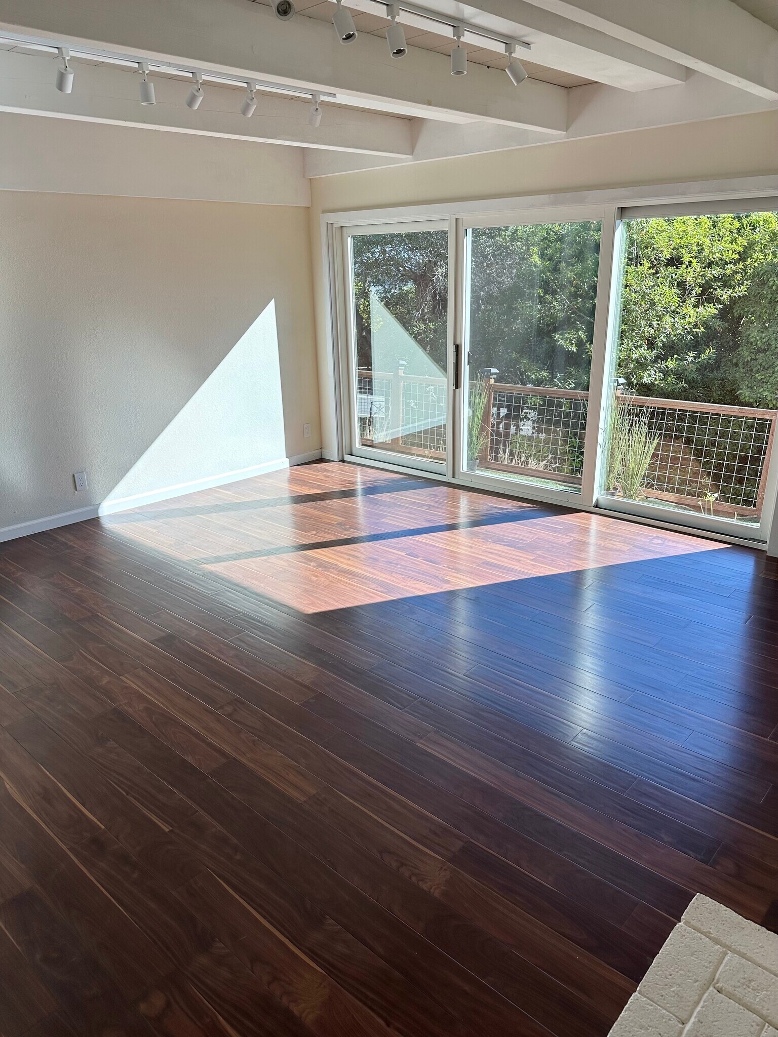 Green screen privacy - 101 Oak Springs Dr