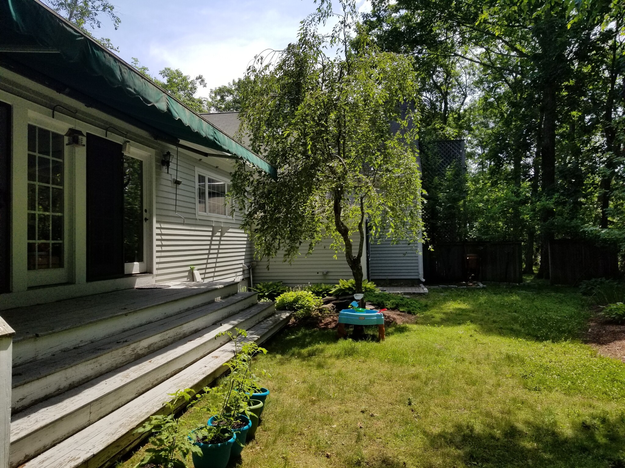 Side yard - 228 Newburyport Tpke