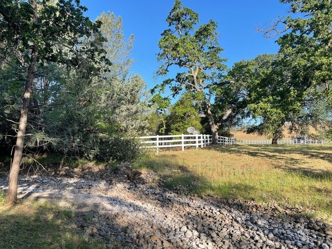 Building Photo - Cozy and convenient, private location, Cot...