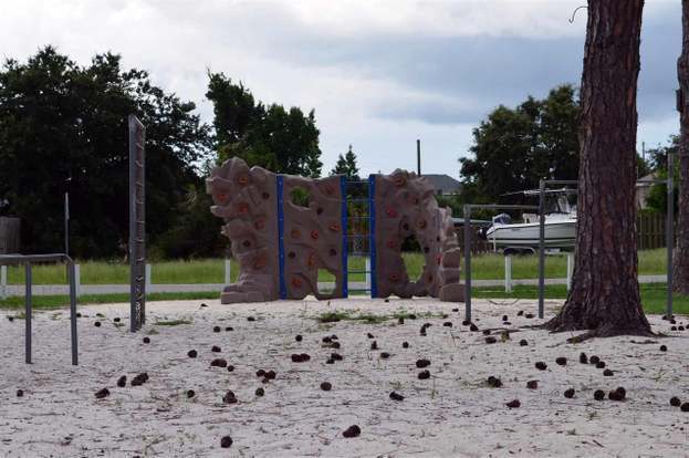 Building Photo - 1223 Redwood Ln