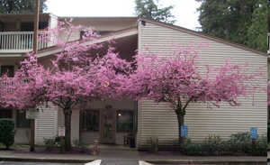 Building Photo - Hollyfield Village