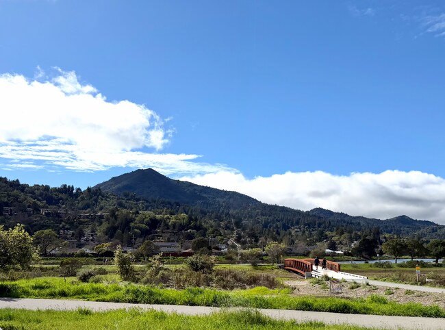 Building Photo - Bright, Cheery and Newly Renovated 2x1 behind Bon Air!