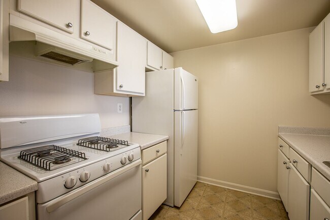 Building Photo - Charming 2 BR/2 BA Condo in Barry Farms!