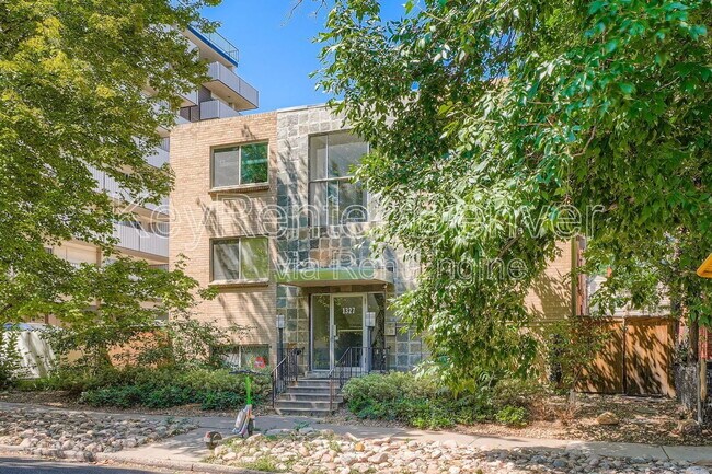 Building Photo - 1327 Steele St