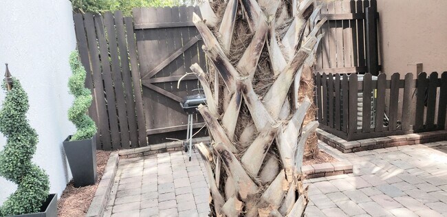 Building Photo - Beautiful  Furnished 1/1 condo x Rent  in Winter Park Next to Full Sail University !