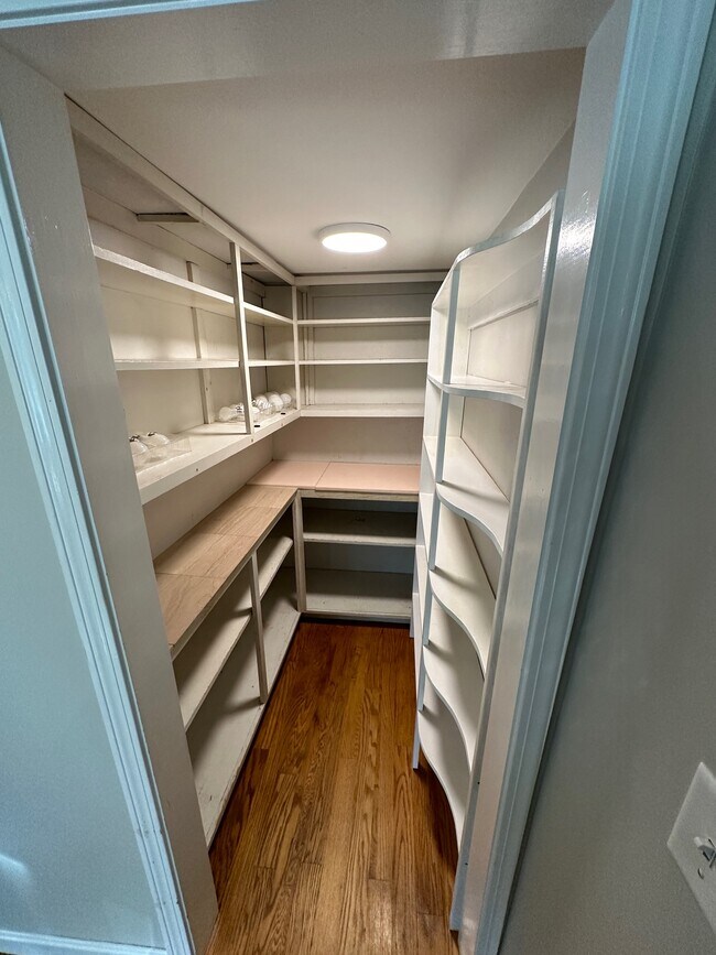 Kitchen pantry - 480 Newington Rd