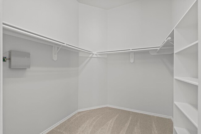 Building Photo - Spacious 3-Bedroom Home in Lakeshore with ...