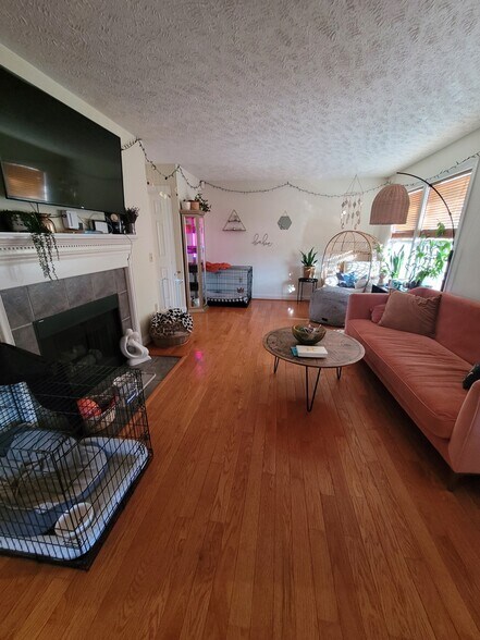 Living room - 515 Silver Leaf Dr