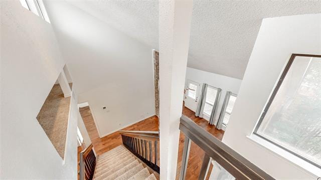 Building Photo - 2121 Stradivarius Ln