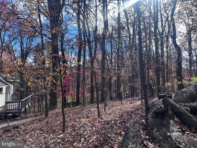 Building Photo - 132 Pinecrest Ln