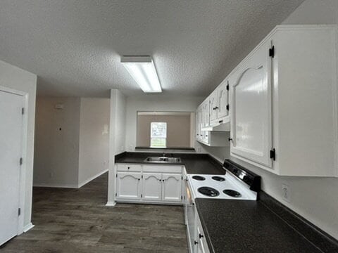 Building Photo - 2 Bed, 2 Bath Apartment for Rent Close to TTU