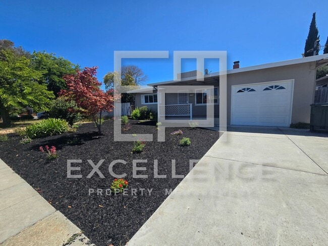 Primary Photo - Freshly Updated, New Kitchen, Refinished R...