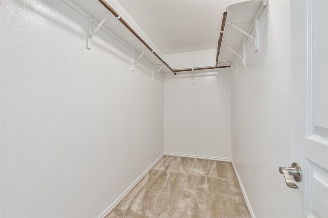 Building Photo - 5047 Royal Amber Ln