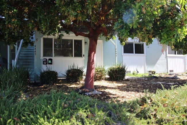 Building Photo - 4441 Yukon Dr