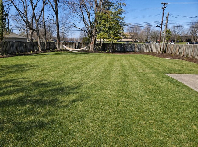 Building Photo - For Rent: Classic 3-Bedroom Brick Ranch in Lexington