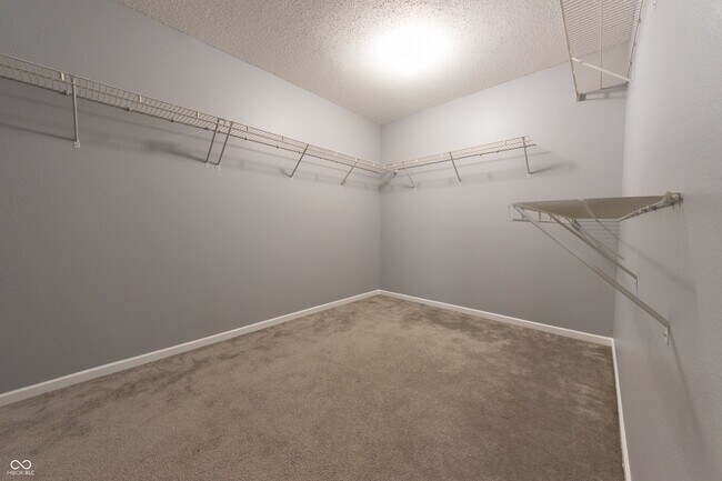 Building Photo - 2977 Sentiment Ln