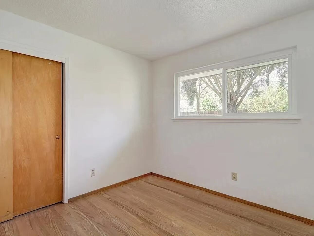 Building Photo - 907 Plum Ln