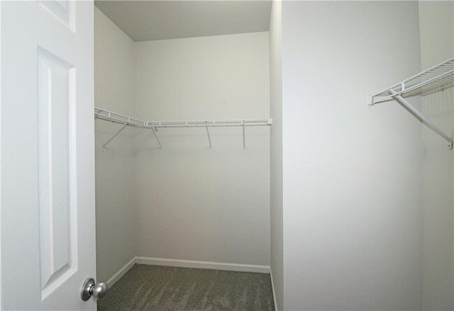 Building Photo - 335 Snowgoose Ct