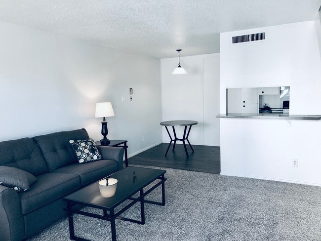 1 Bedroom - Century Plaza Apartments