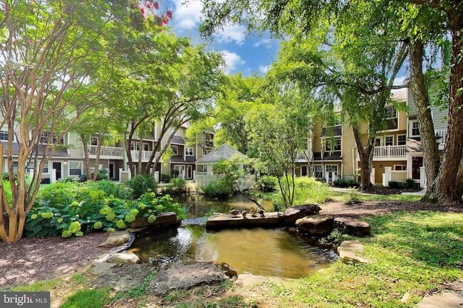 Building Photo - 10823 Hampton Mill Terrace