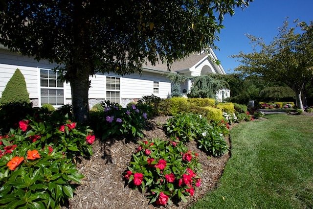 Interior Photo - Fairfield Hills North At Farmingville