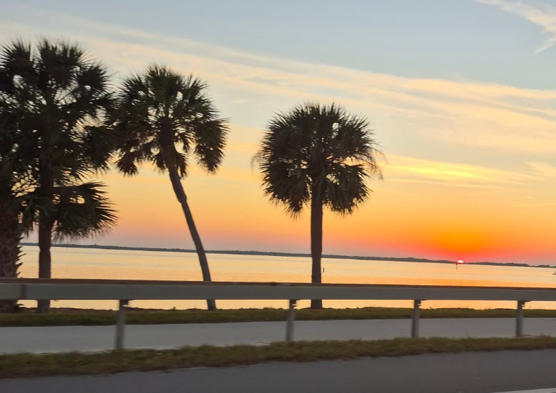 Building Photo - 9 Haig Pl