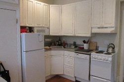 Images are representative samples of the advertised unit. Actual units shown during tours may differ - 209 W Newton St